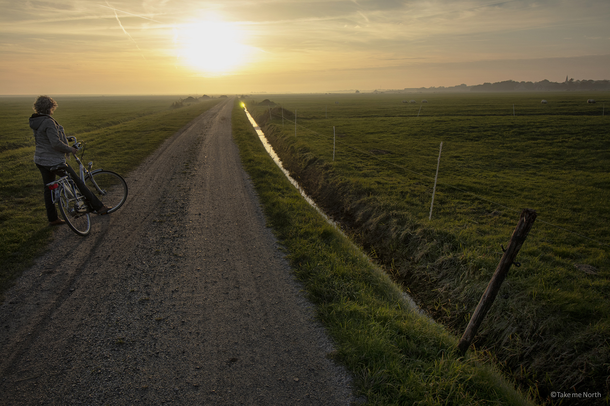 Bike road on Terschelling, one of the Frisian Wadden islands