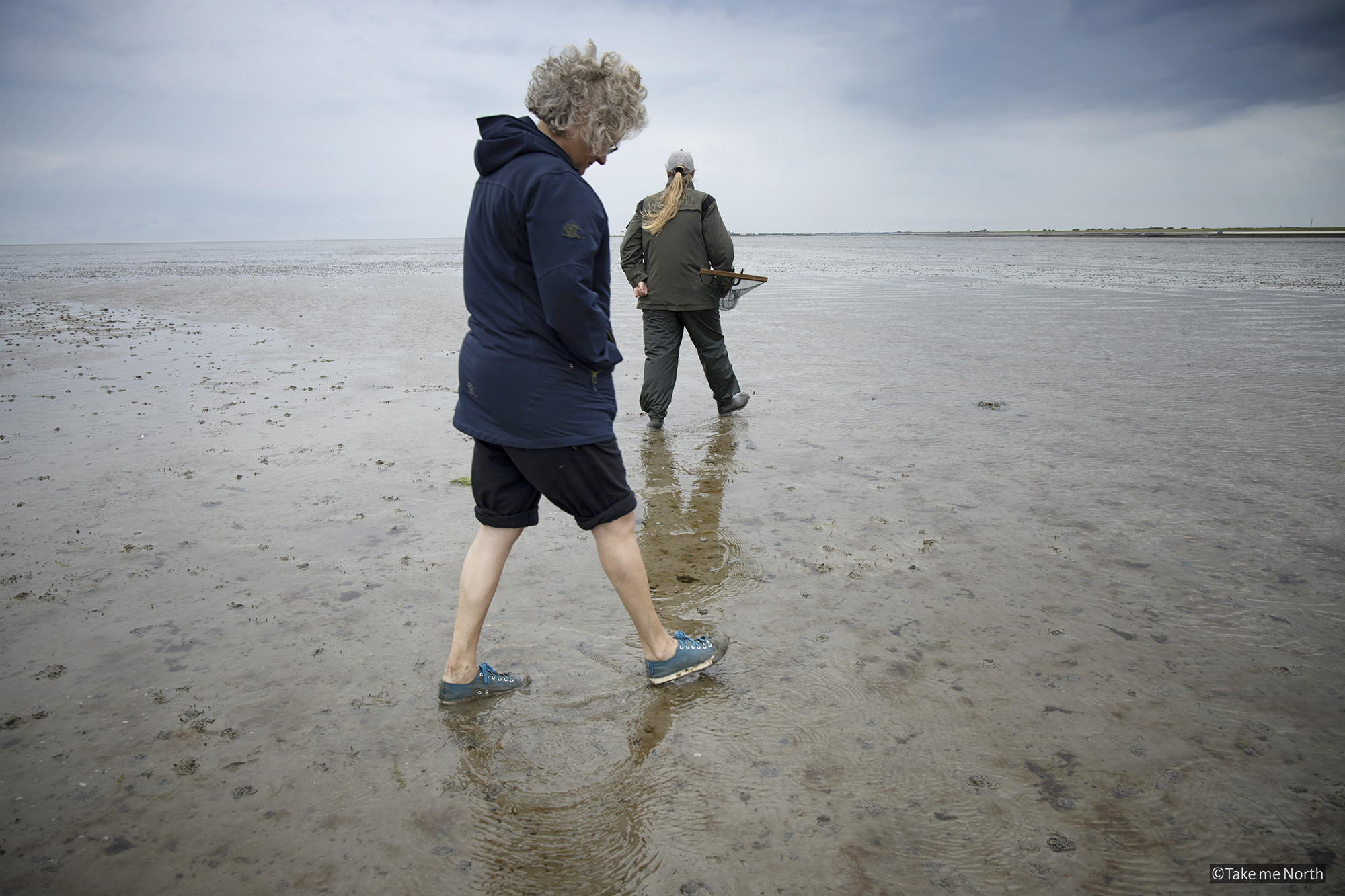 Exploring the sea bed from Ameland, low tide