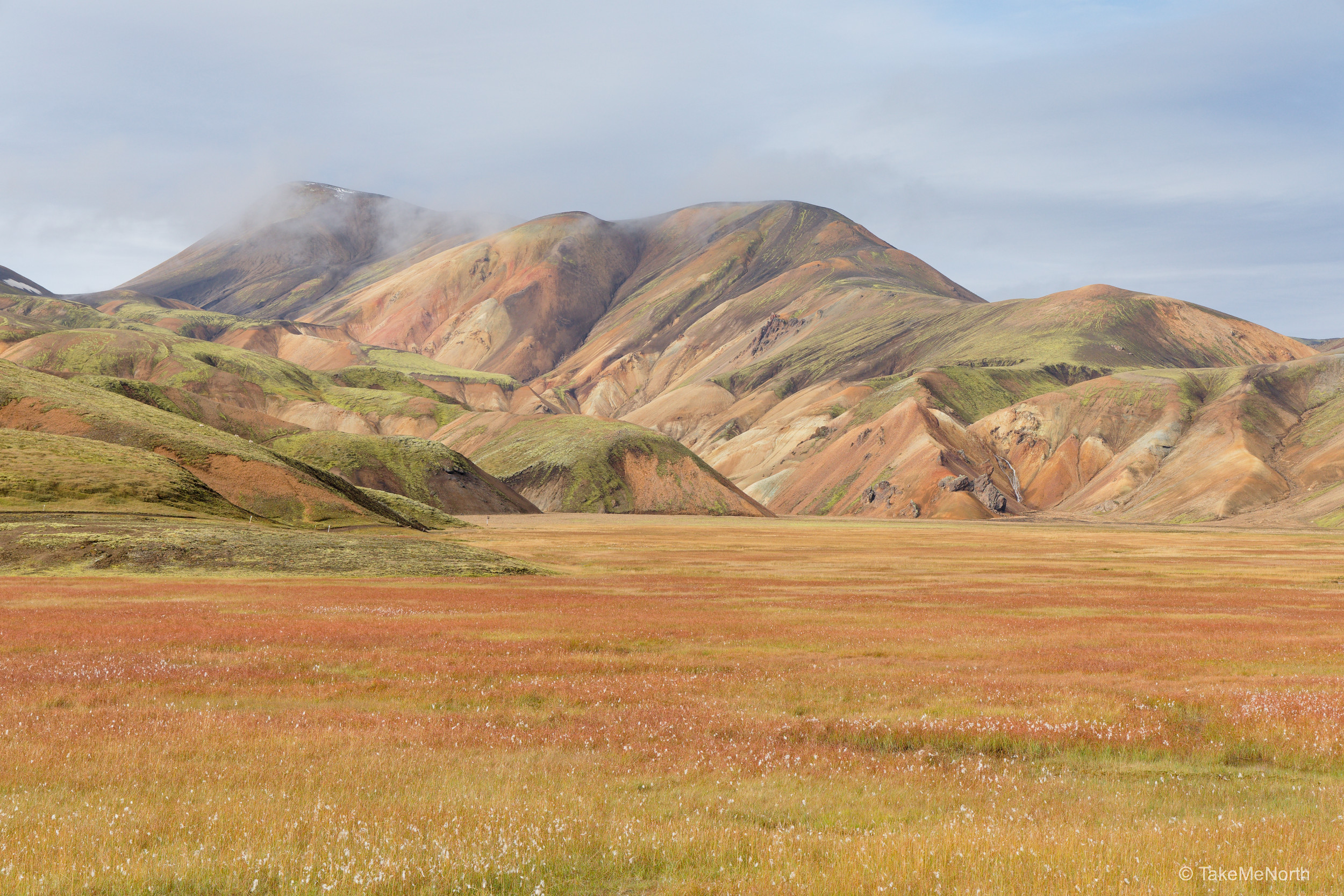 The rhyolite mountains as they rise up from the valley