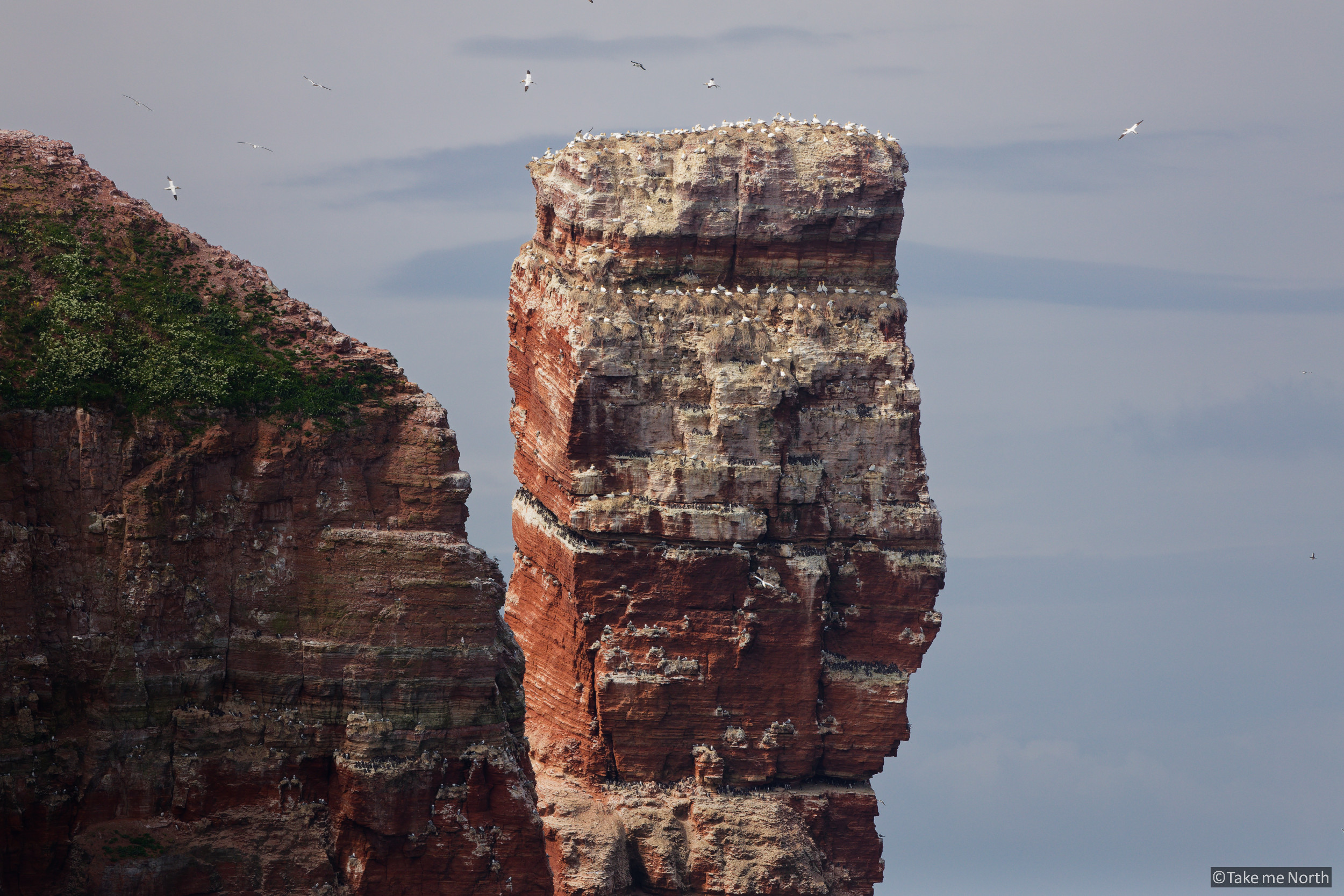 Lange Anna, a famous landmark on the North cliffs of Helgoland.