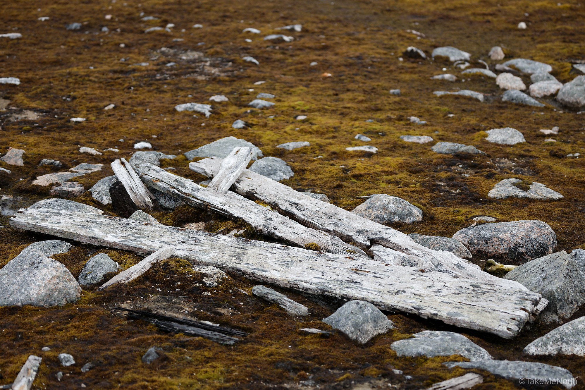 A 17th century grave of a dutch whaler getting pushed out of the permafrost.