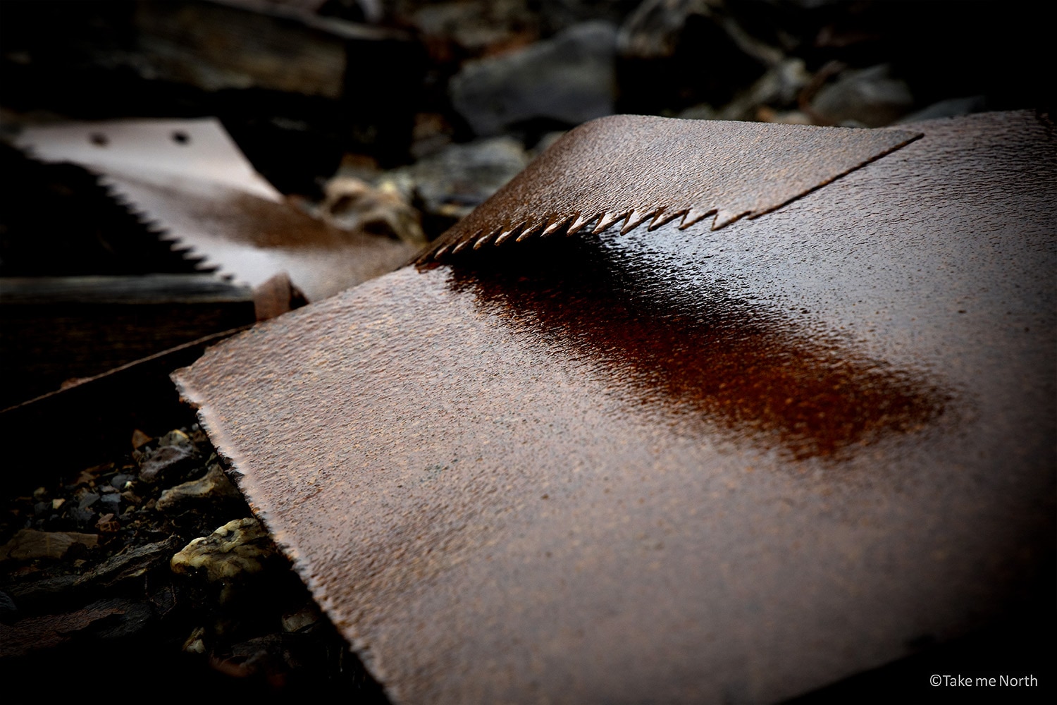 Rusty sawblade at Signehamna