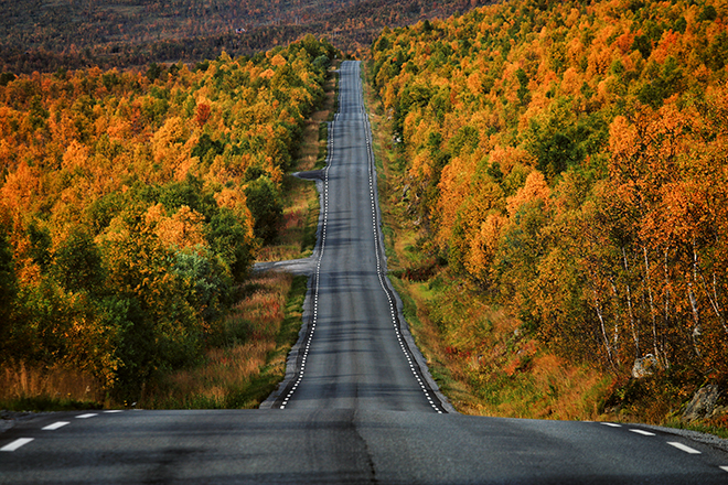 Senja - Norway The autumn colors of Senja