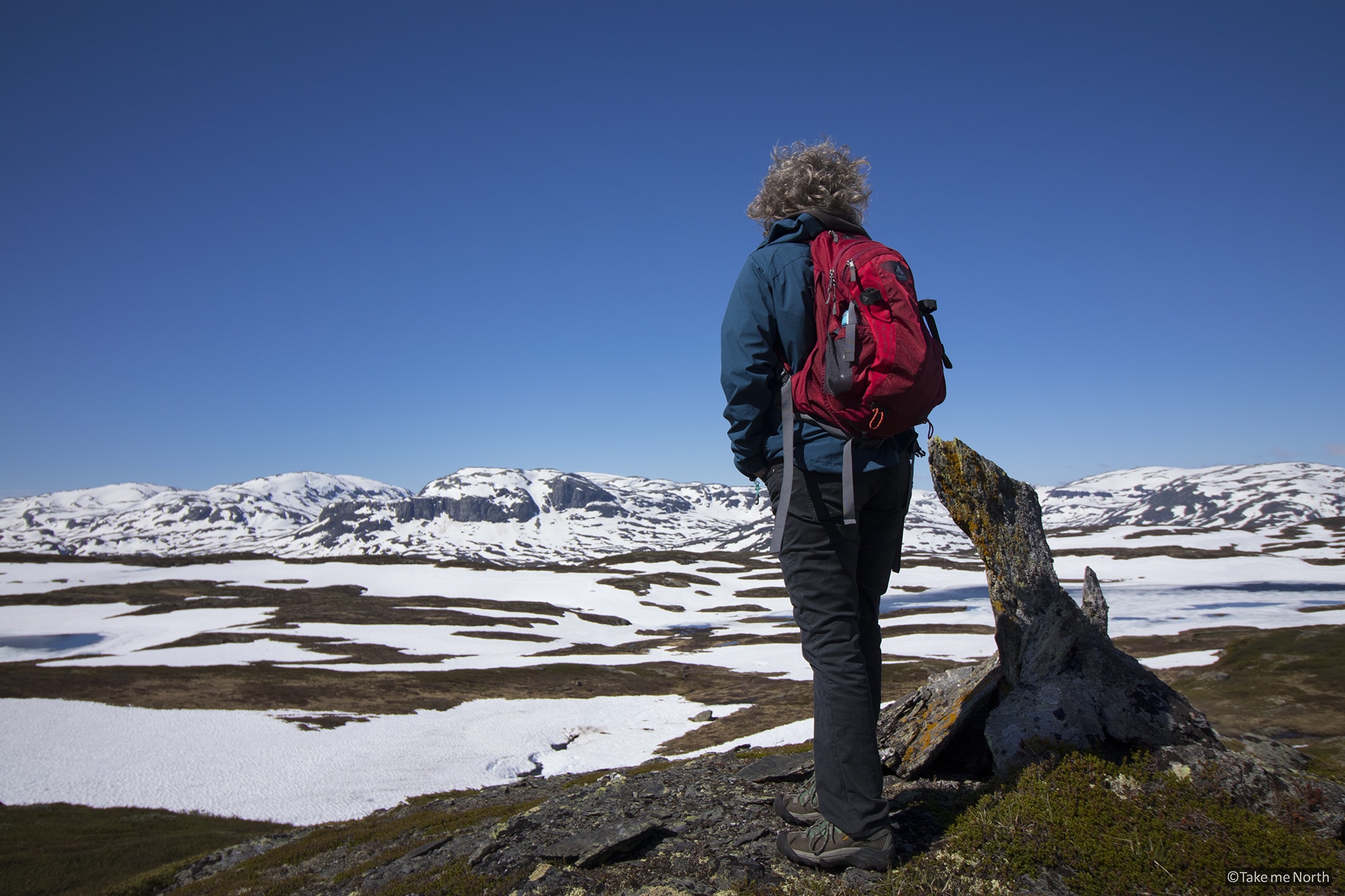 Haukelifjell in june